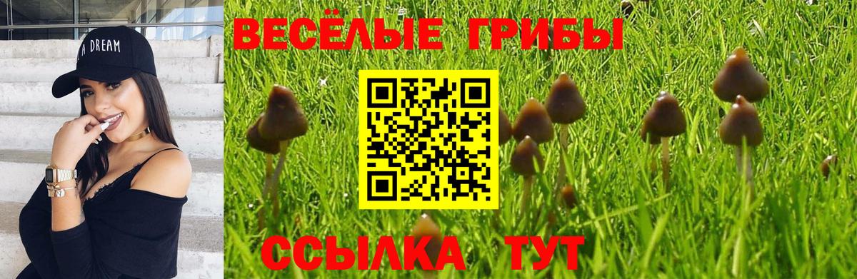Псилоцибиновые грибы ЛСД Камышлов
