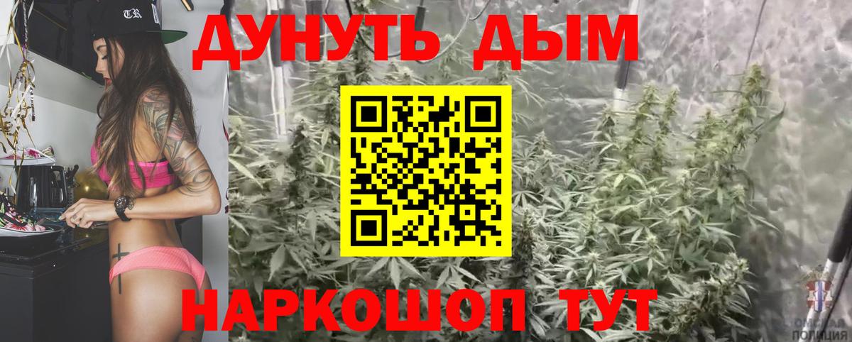 Марихуана Amnesia  Вход с VPN  Бошки марихуана планчик  Шишки марихуана семена  Камышлов 